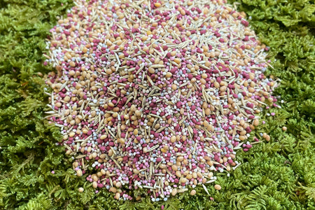 Low Grow™ No-Mow Lawn Mix – Clover & Low-Maintenance Grass Alternative