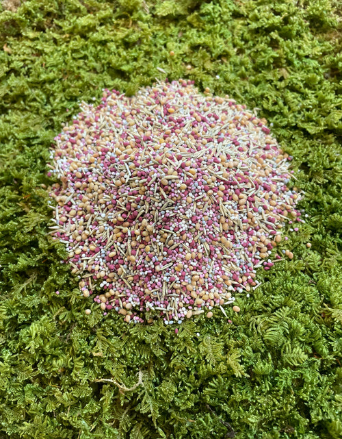 Load image into Gallery viewer, Low Grow™ No-Mow Lawn Mix – Clover &amp; Low-Maintenance Grass Alternative
