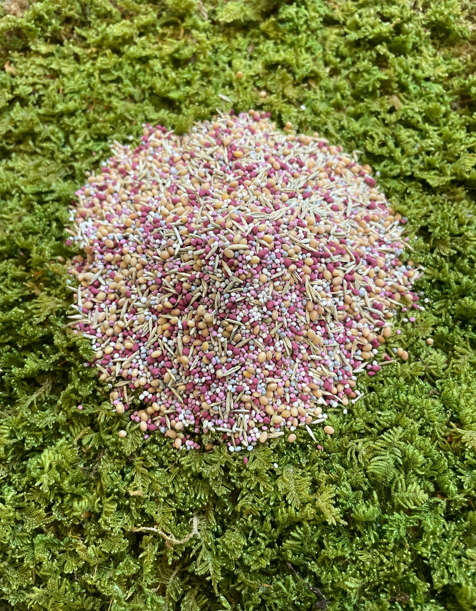 Low Grow™ No-Mow Lawn Mix – Clover & Low-Maintenance Grass Alternative