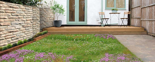Load image into Gallery viewer, Low Grow™ No-Mow Lawn Mix – Clover &amp; Low-Maintenance Grass Alternative
