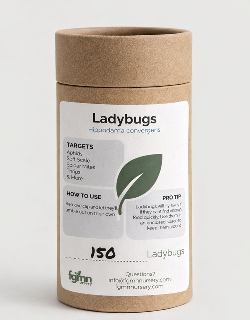 Load image into Gallery viewer, Ladybugs
