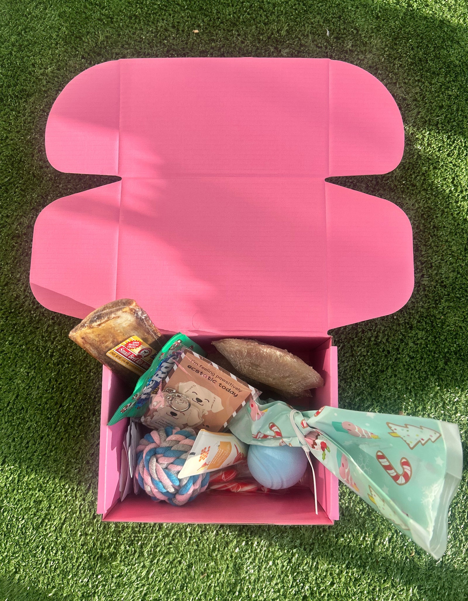 Pawliday Box