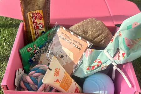 Pawliday Box