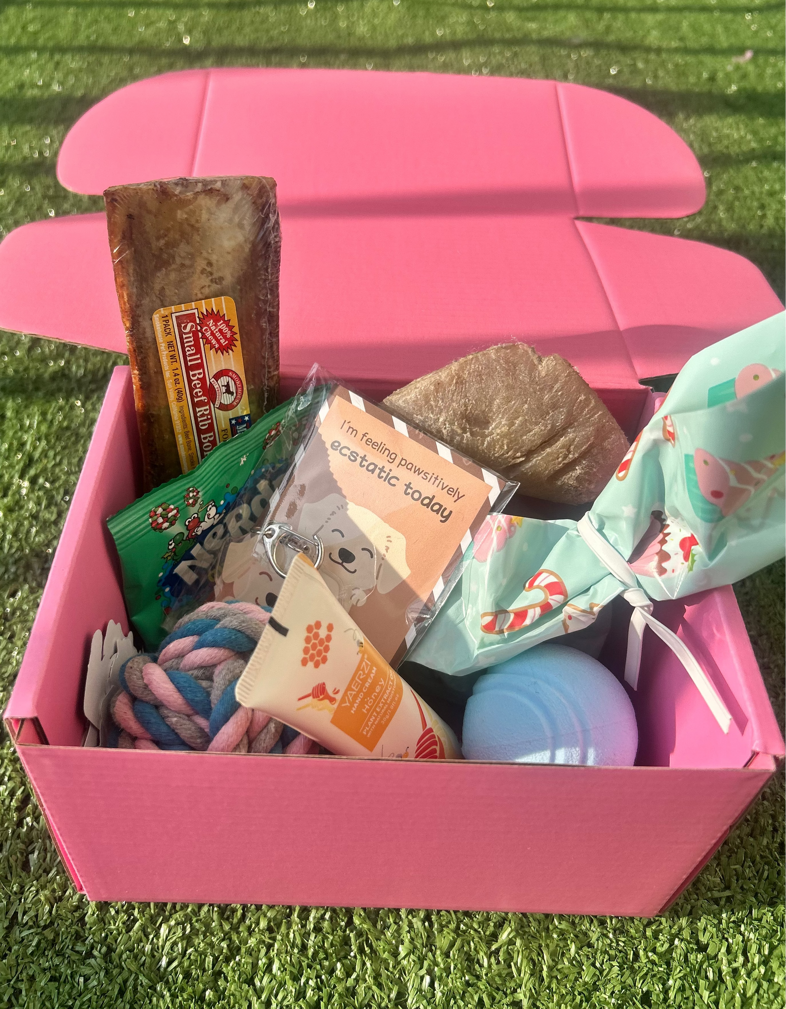 Pawliday Box