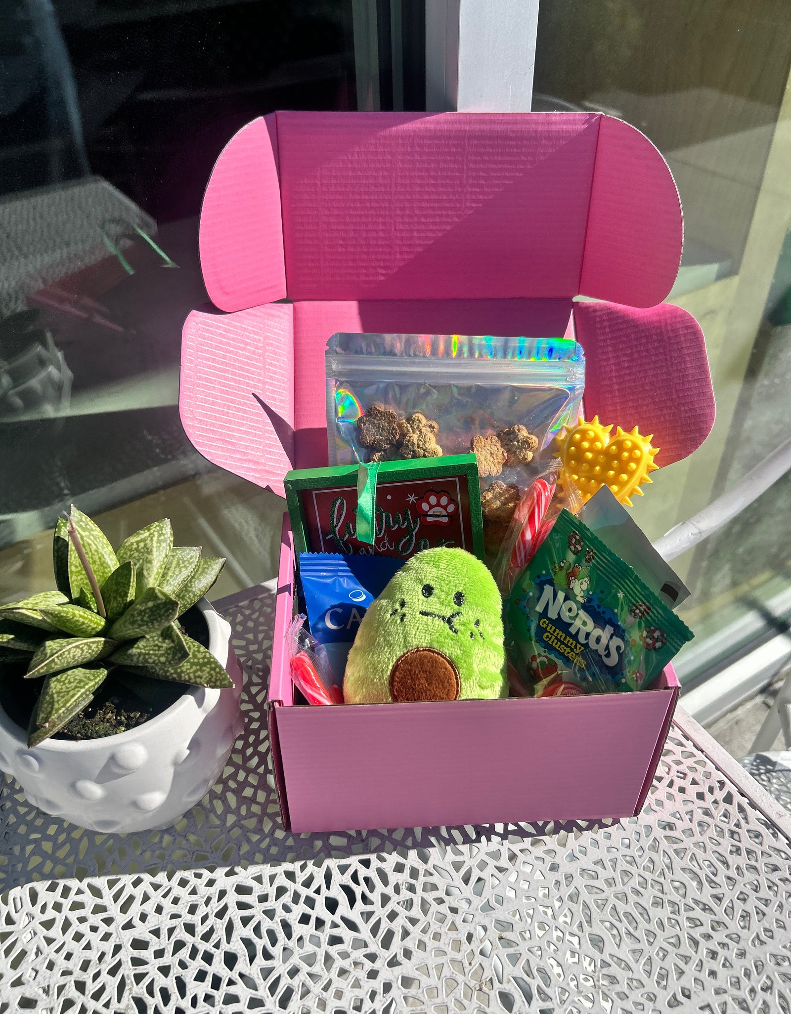 Pawliday Box