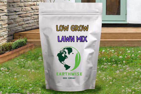 Low Grow™ No-Mow Lawn Mix – Clover & Low-Maintenance Grass Alternative