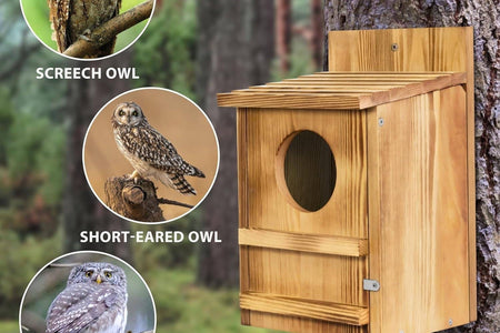 Outdoor Wooden Screech Owl BirdHouse for Mounting - Easy to Assemble