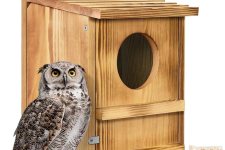 Outdoor Wooden Screech Owl BirdHouse for Mounting - Easy to Assemble