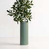 Rosemary Green