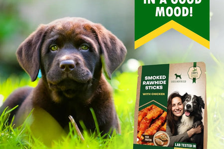 Dog Treats Rawhide Sticks Wrapped with Chicken 11 Oz Pet Natural Chew Treats - Grain Free Meat & Human Grade Dried Snacks - Best for Small & Large Dogs (10.6 Ounce (Pack of 1), Smoked Chicken)