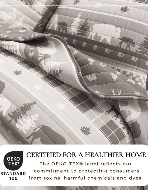 Load image into Gallery viewer, Rustic Landscape Quilt Set - Matthew Collection

