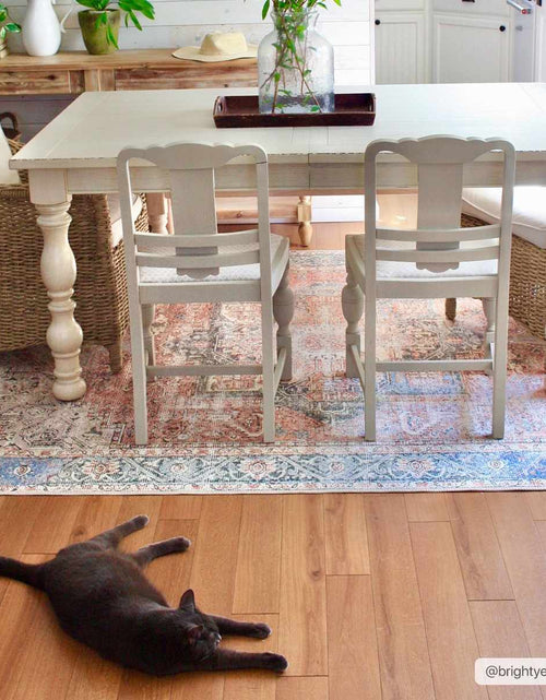 Load image into Gallery viewer, Rosman Distressed Washable Area Rug
