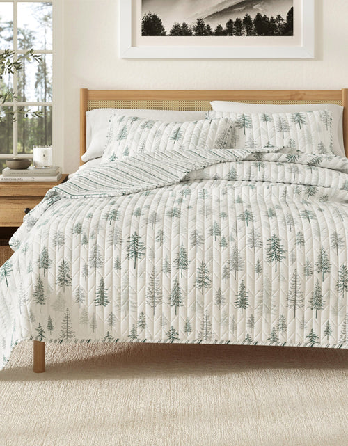 Load image into Gallery viewer, Rustic Landscape Quilt Set - Matthew Collection
