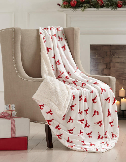 Load image into Gallery viewer, Sherpa Throw Blanket - Eve Collection

