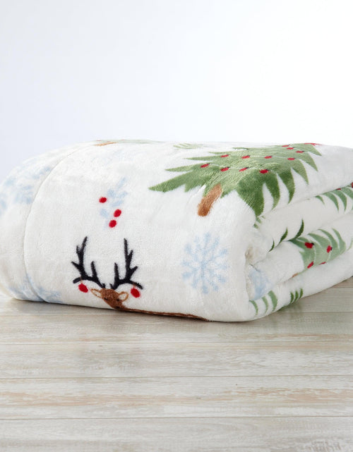 Load image into Gallery viewer, Sherpa Throw Blanket - Eve Collection
