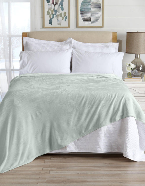 Load image into Gallery viewer, Velvet Plush Blanket - Avianna Collection

