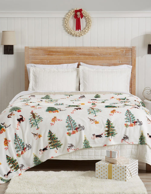 Load image into Gallery viewer, Velvet Throw Blanket - Pearl Collection
