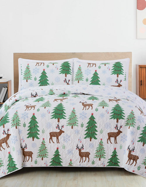 Load image into Gallery viewer, Holiday Quilt - Holly Collection

