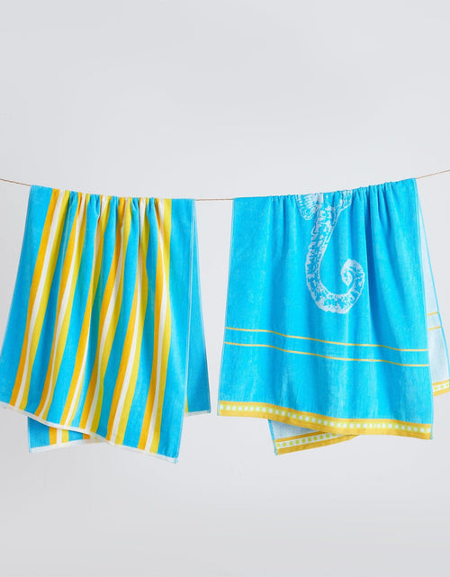 Load image into Gallery viewer, 2 Pack 100% Cotton Jacquard Beach Towels - Playa Collection
