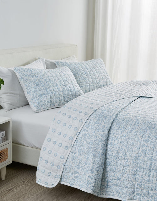 Load image into Gallery viewer, Floral Medallion Printed Microfiber Quilt Set - Kaleigh Collection
