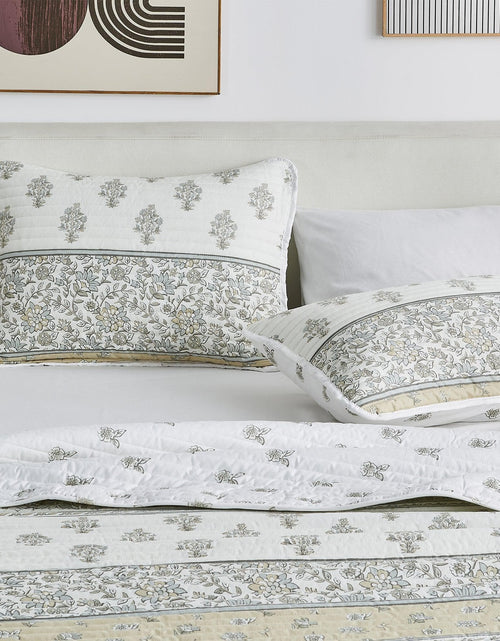 Load image into Gallery viewer, Floral Striped Microfiber Quilt Set - Hermine Collection
