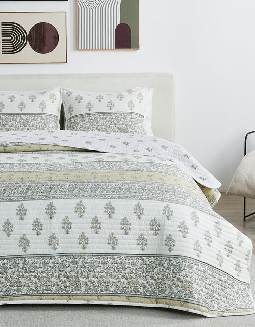 Load image into Gallery viewer, Floral Striped Microfiber Quilt Set - Hermine Collection
