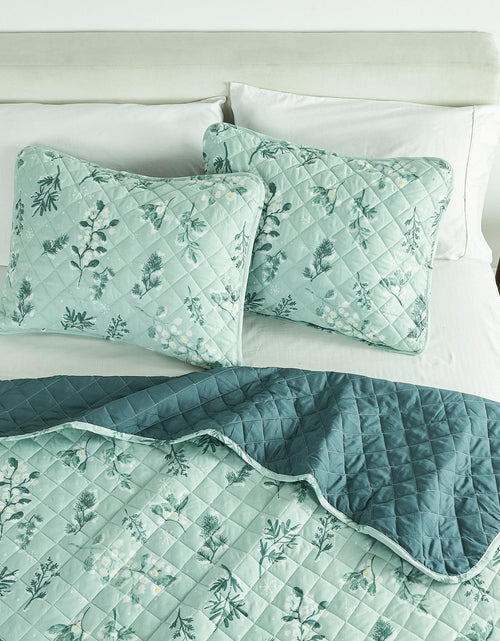 Load image into Gallery viewer, Snowy Botanical Quilt Set - Mariela Collection
