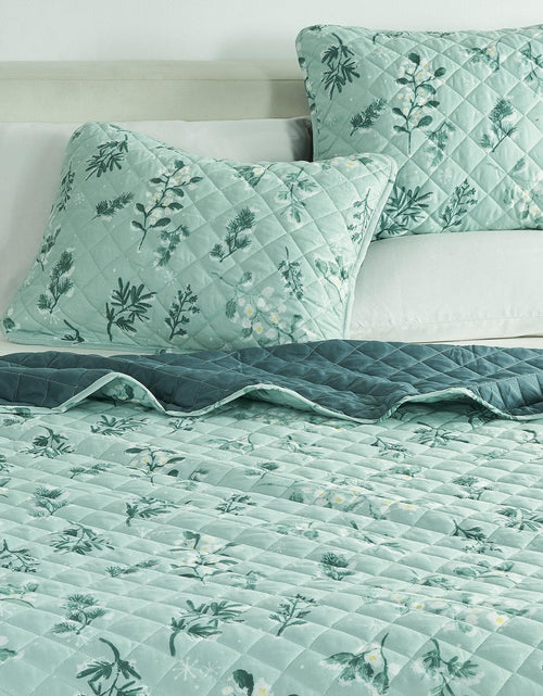 Load image into Gallery viewer, Snowy Botanical Quilt Set - Mariela Collection
