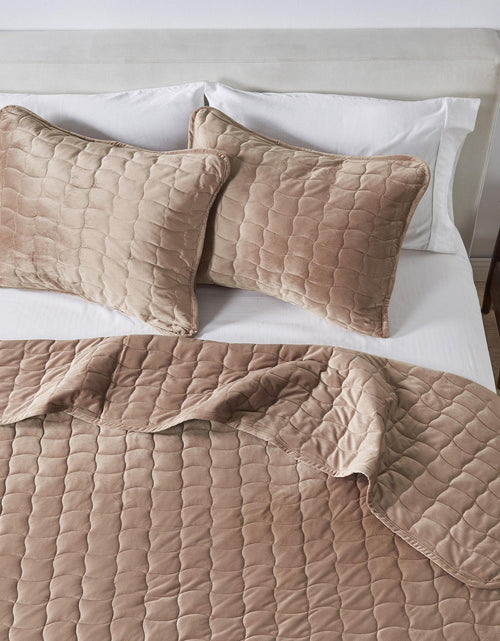 Load image into Gallery viewer, Velvet Box-Stitched Quilt Set - Vivica Collection
