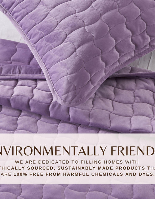 Load image into Gallery viewer, Velvet Box-Stitched Quilt Set - Vivica Collection
