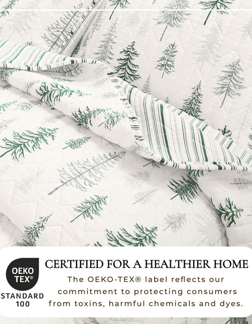 Load image into Gallery viewer, Rustic Landscape Quilt Set - Matthew Collection
