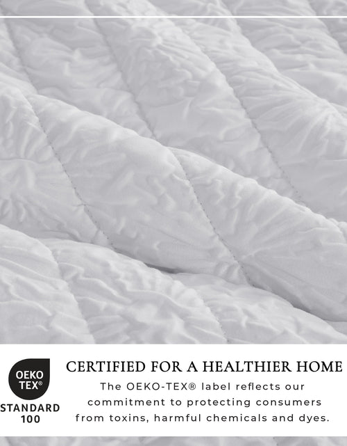 Load image into Gallery viewer, Floral Embossed Quilt Set - Floral Microsculpt Collection

