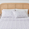 Colorful Floral - Lavender