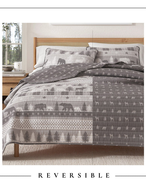 Load image into Gallery viewer, Rustic Landscape Quilt Set - Matthew Collection
